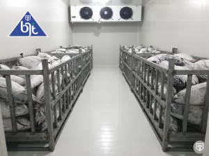 Cold Storage untuk Penyimpanan Daging Berkapasitas Besar